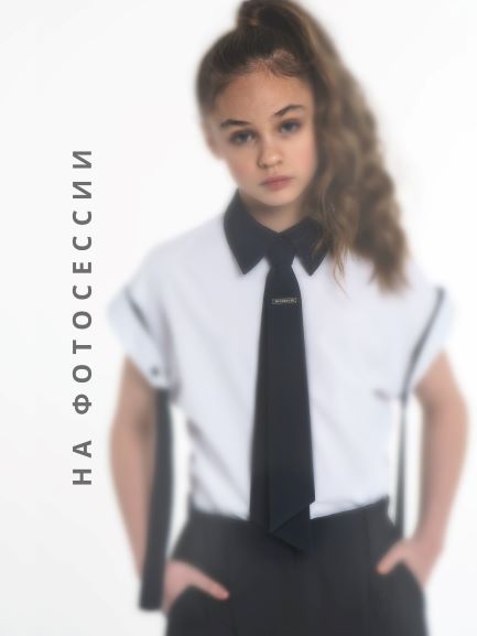 Галстук 1227